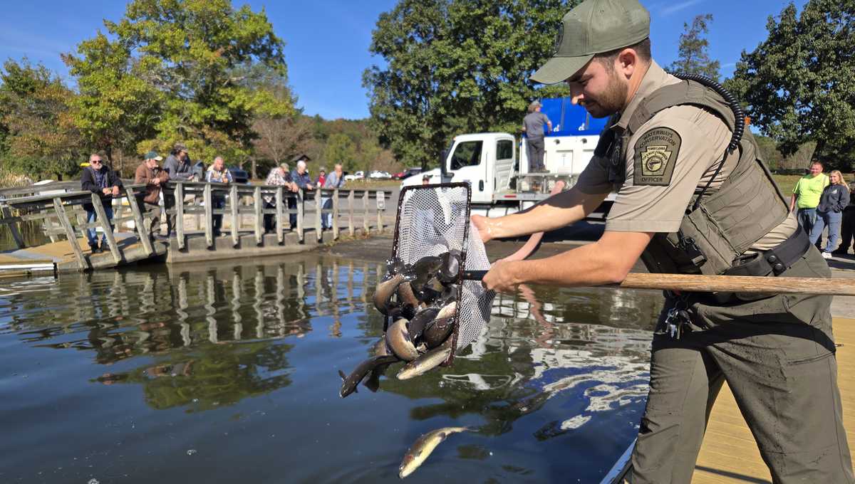 Pa. Fish and Boat Commission to stock 114,700 trout for fall, winter