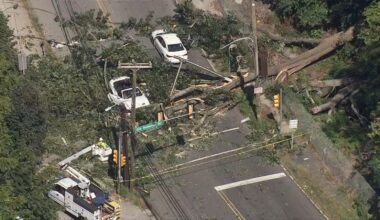 Tree falls on cars, blocking roadway in Bala Cynwyd; 2 injured