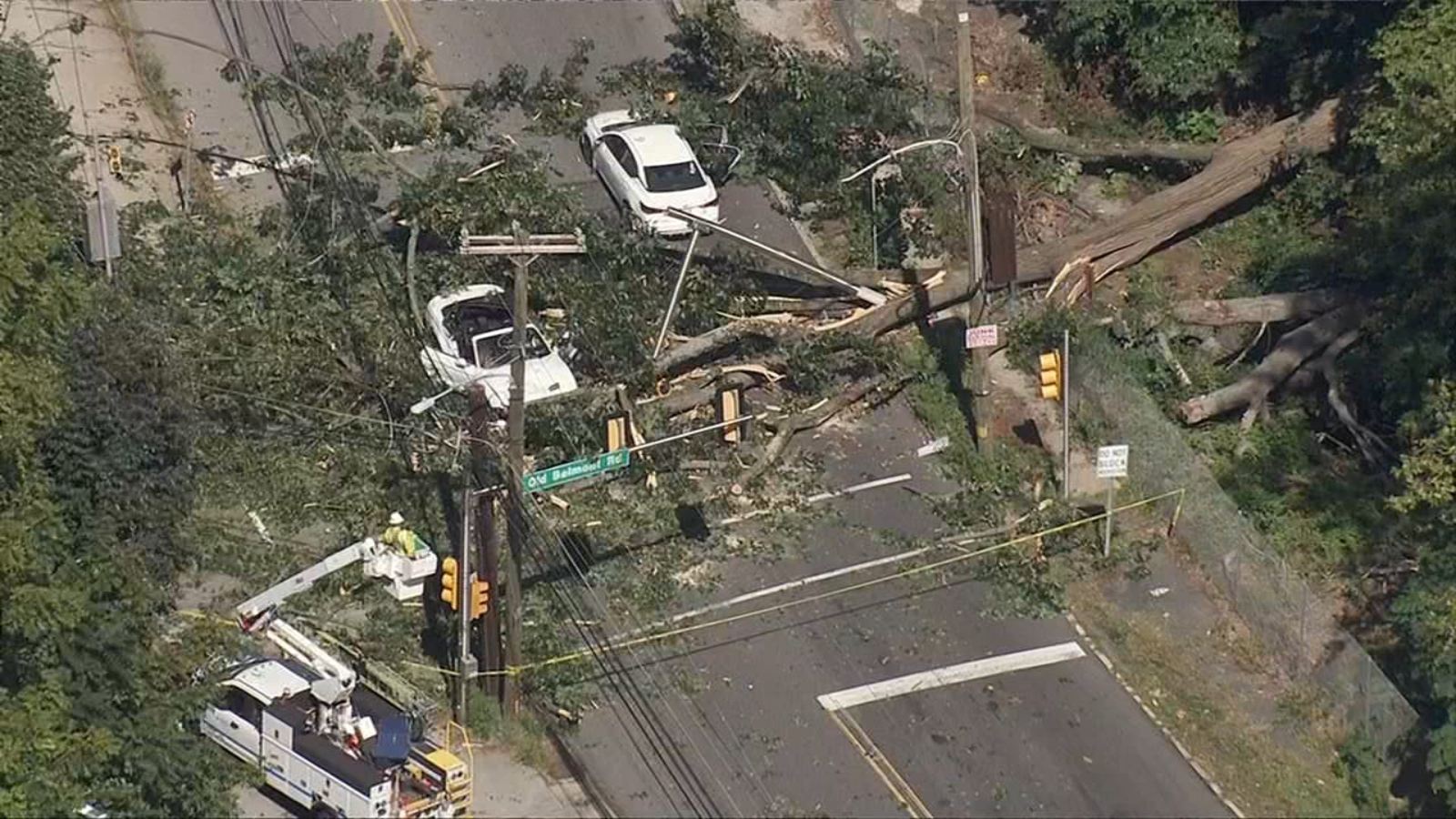 Tree falls on cars, blocking roadway in Bala Cynwyd; 2 injured