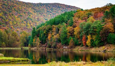 Fall Foliage 2026: Best places to see colors in Pennsylvania, New Jersey and Delaware