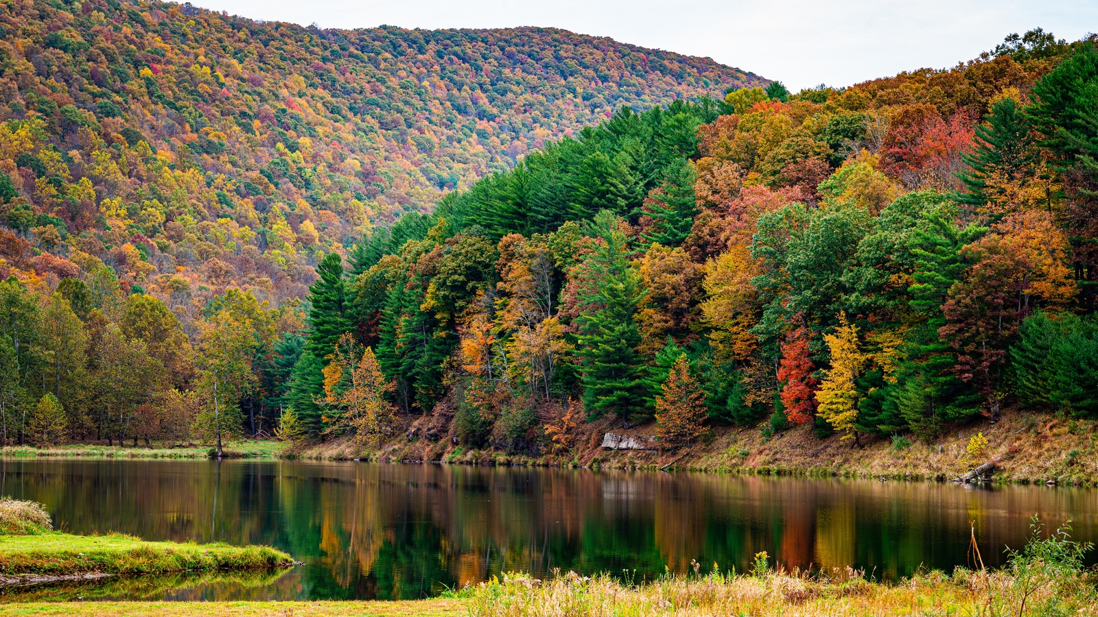 Fall Foliage 2026: Best places to see colors in Pennsylvania, New Jersey and Delaware