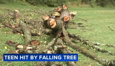 Parkland High School cross-country runner critically injured by falling tree at practice in Allentown
