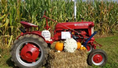 With 'Harvest Nights' at Olde Stone Farm, Fall Fun Returns to Area – Saucon Source