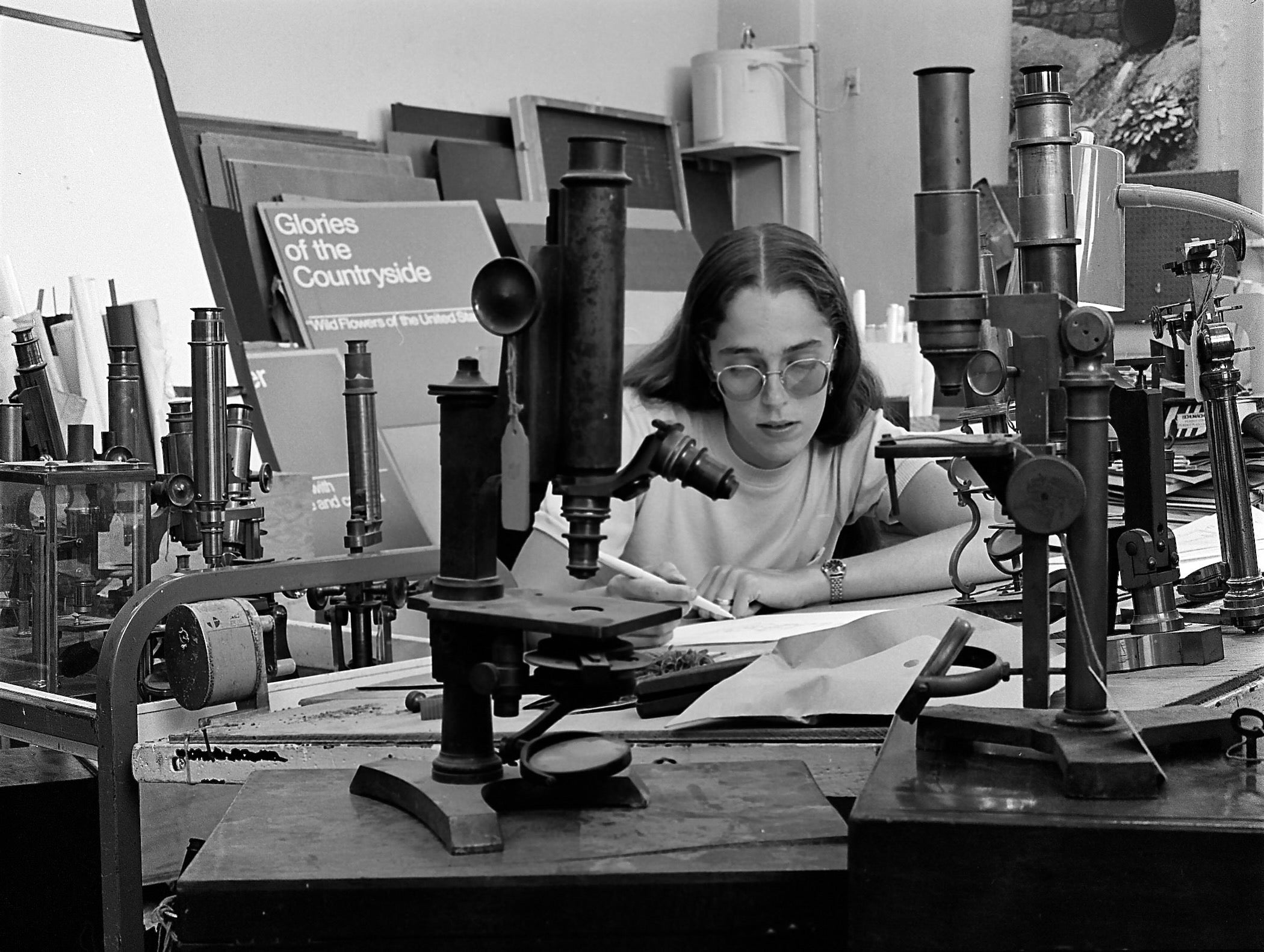 Virginia Maksymowicz at a desk