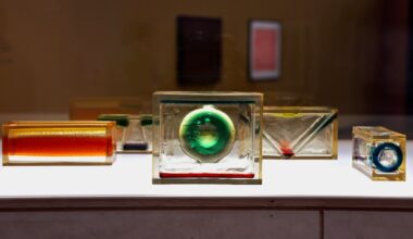 Philadelphia’s Barnes has Japanese artists from internment camps