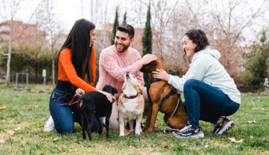 Dog parks and other community gathering places can foster social connection, empathy and trust in ways social media often cannot.
