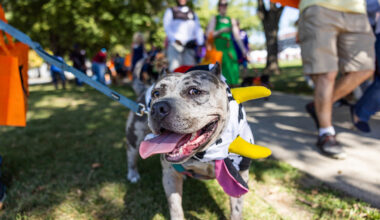 The 20th Annual Mutt Strut is set for Saturday, Oct. 3, 2026.