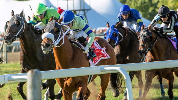 Noel’s Weekend Winners: Spotlight on Stakes Sprints on Pennsylvania Derby Day