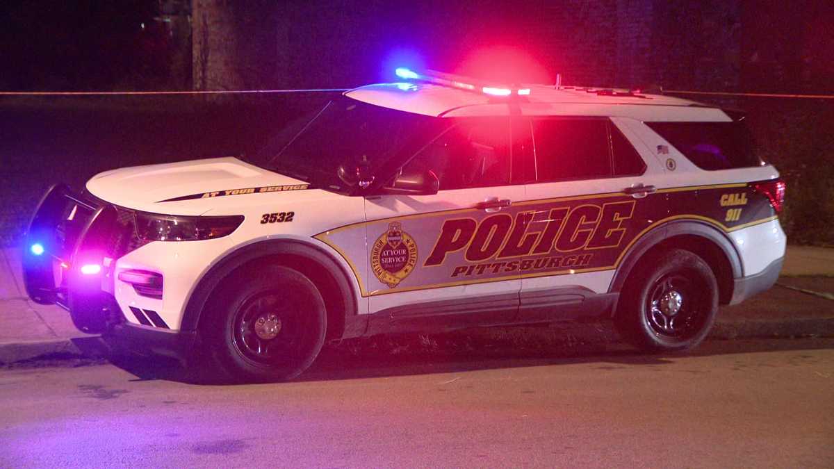Pittsburgh shooting: Woman killed in Homewood neighborhood