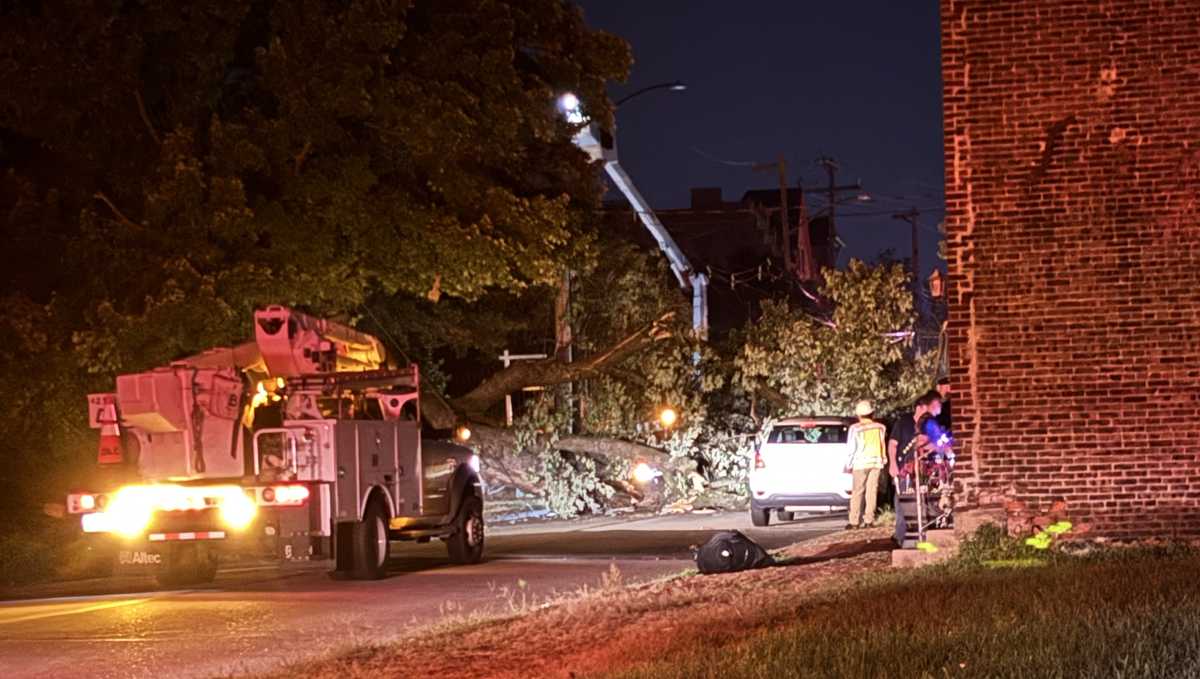 Downed tree damages home, knocks out power in Pittsburgh