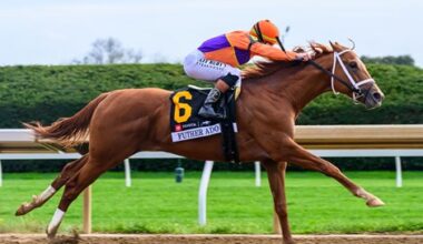 Further Ado, The Puma Headline Pennsylvania Derby