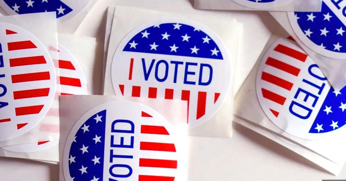 Lehigh County woman pleaded guilty to illegal voting in 2024 election | Lehigh County
