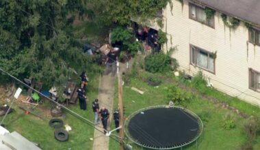 Pittsburgh Police remove 11 dogs, cat from house in Westwood