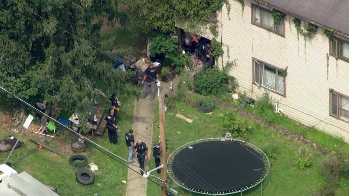 Pittsburgh Police remove 11 dogs, cat from house in Westwood