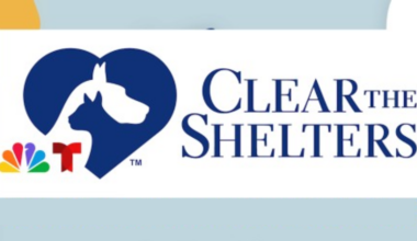 Clear the Shelters | Featured