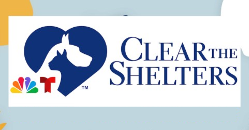 Clear the Shelters | Featured