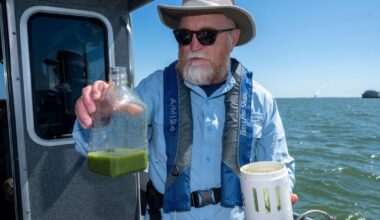 Algae blooms' toxins are dangerous to touch. But what about to breathe? | News