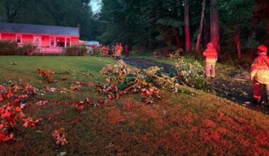 Lightning strikes tree, causing damage to house in Exeter Twp. | Reading Area
