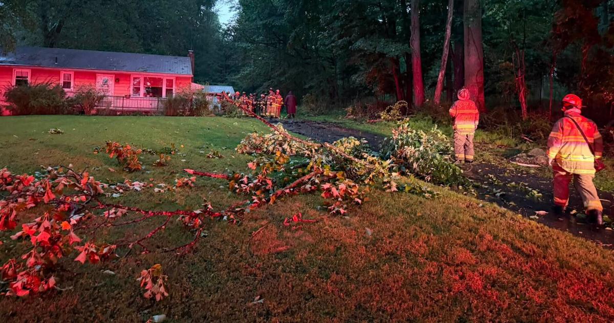 Lightning strikes tree, causing damage to house in Exeter Twp. | Reading Area