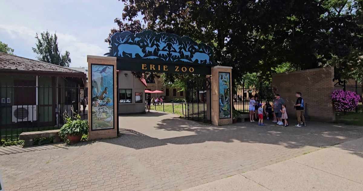 Erie Zoo Remains Open Despite Storms and Fallen Debris | News