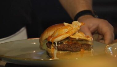 Taste of Hamburg-er Festival returns to Berks County this Saturday | Northern Berks County