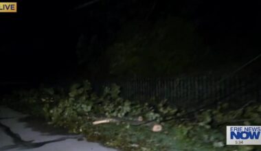 Storm Cleanup Continues in Erie Following Severe Weather | News