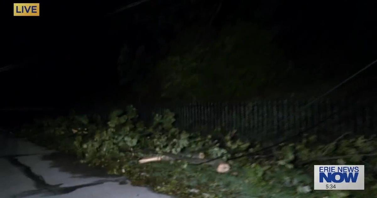 Storm Cleanup Continues in Erie Following Severe Weather | News
