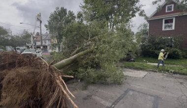 Storm Cleanup Continues After Massive Tree Collapse on McCarter Avenue | News