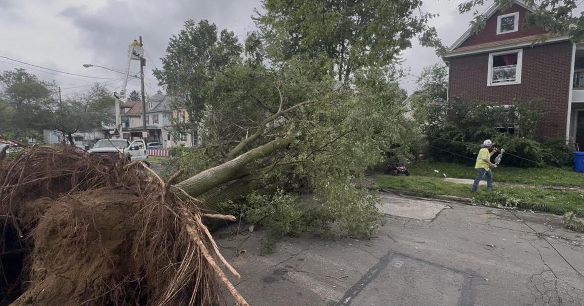 Storm Cleanup Continues After Massive Tree Collapse on McCarter Avenue | News