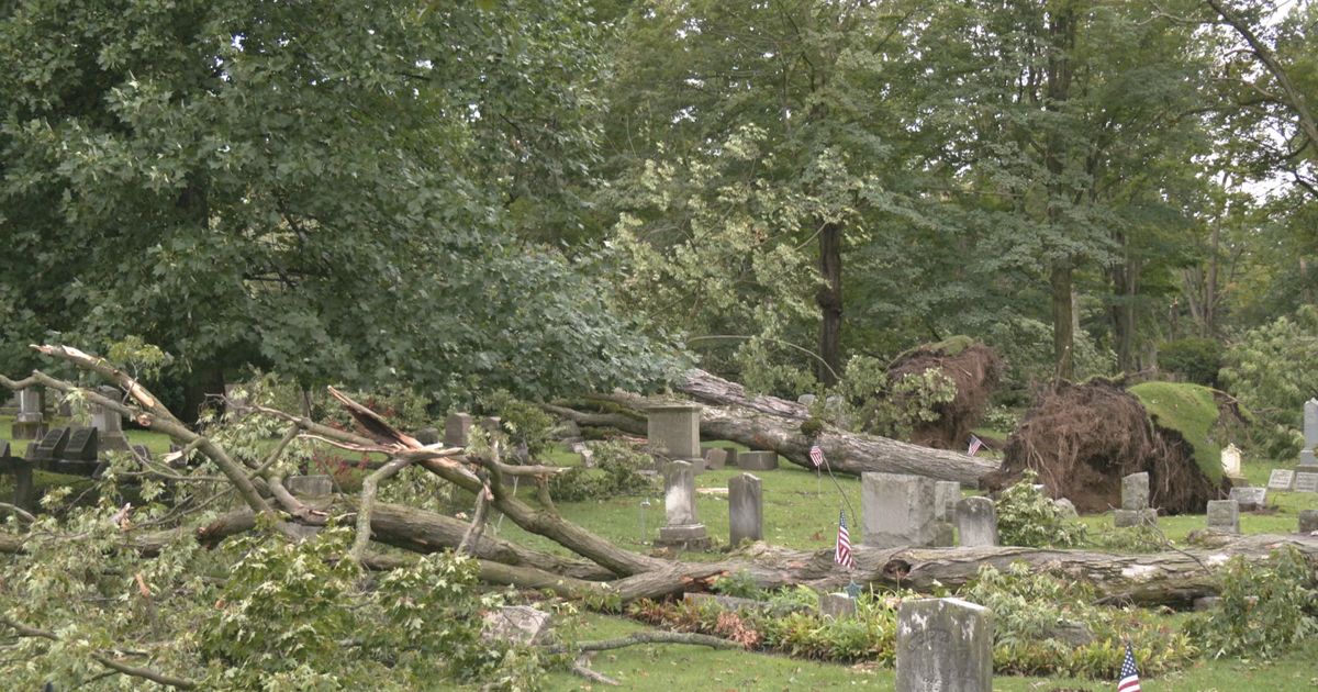 Erie Cemetery Closed After Severe Storms Cause Widespread Damage | News
