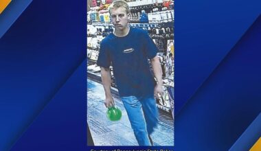 Police Seek Suspect in BuzzBallz Biggies Theft in Fairview | News