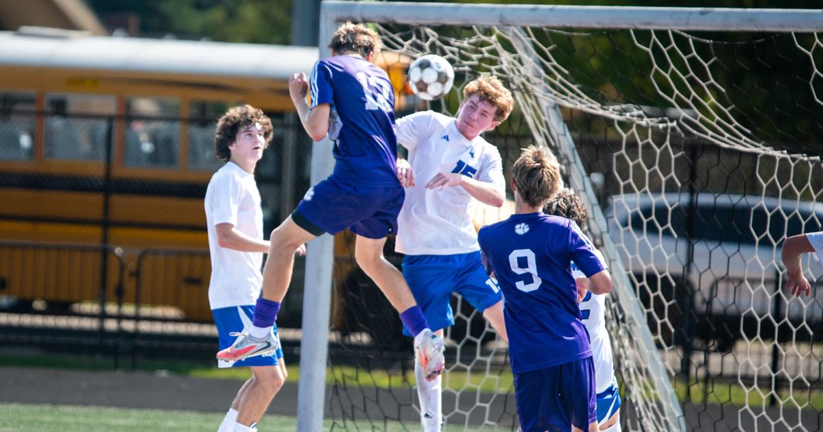 Tigers crush Hawks 5-1 | Sports
