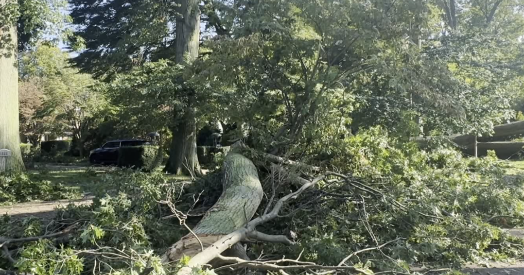 Storm Damage Forces Couple to Find New Venue Before Wedding | Local News