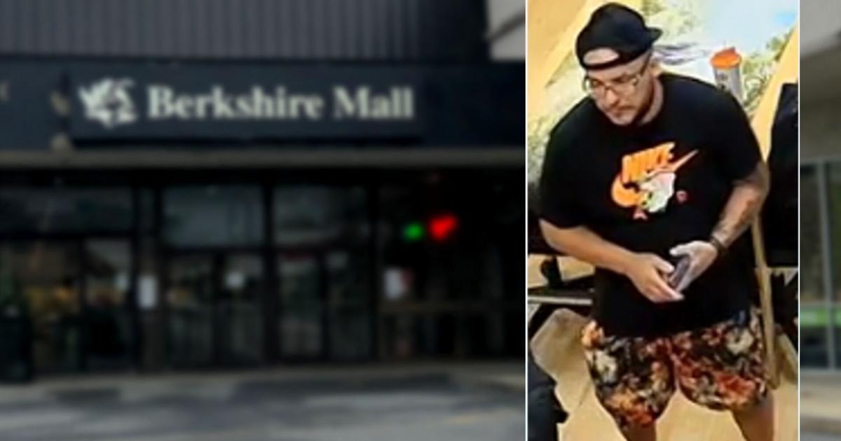 Wyomissing Police seek to identify suspect in $8,000 card theft from Berkshire Mall | Reading Area