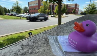 Northampton Co. launches suicide prevention campaign using 1,000 purple ducks | Northampton County