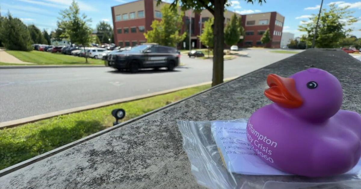 Northampton Co. launches suicide prevention campaign using 1,000 purple ducks | Northampton County