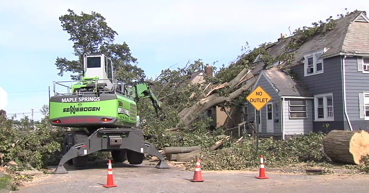 Storm Cleanup in Erie: What Residents Need to Know | News