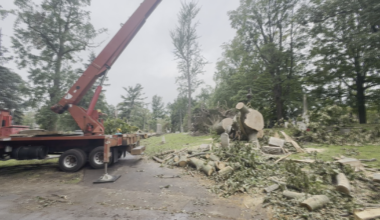 Erie Cemetery Faces Weeks of Recovery After Devastating Storm Damage | News