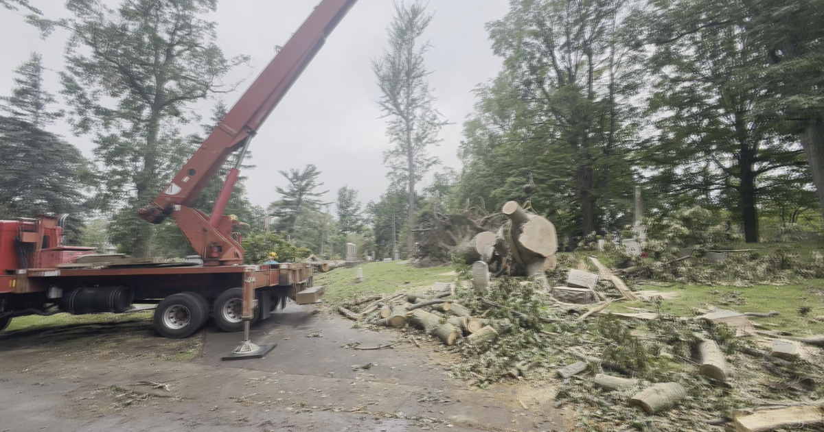 Erie Cemetery Faces Weeks of Recovery After Devastating Storm Damage | News
