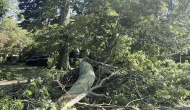 City of Erie Releases Neighborhood Storm Cleanup Schedule | News