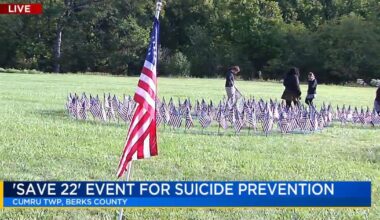 Group to plant hundreds of American flags at cemetery in Berks, raise awareness about suicide prevention | Lehigh Valley Regional News