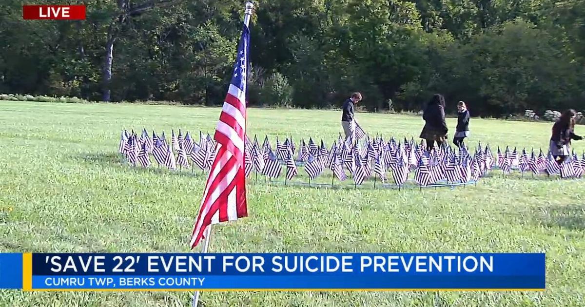 Group to plant hundreds of American flags at cemetery in Berks, raise awareness about suicide prevention | Lehigh Valley Regional News