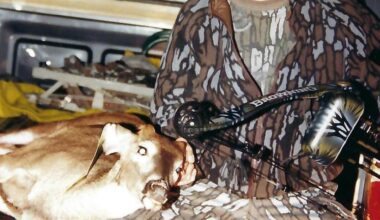 It's the most wonderful time of the year for Pa. bowhunters [column] | Outdoors