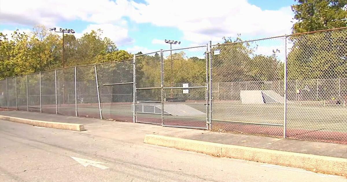 Stonecliffe skate park redesign full steam ahead as community weighs in | Reading Area