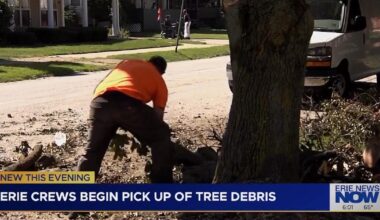 Erie Crews Begin Hauling Away Tree Debris Left by Pre-Labor Day Storm | News