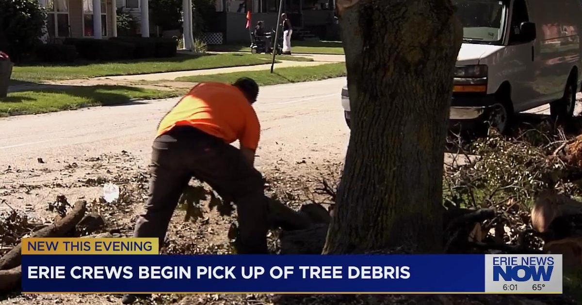 Erie Crews Begin Hauling Away Tree Debris Left by Pre-Labor Day Storm | News