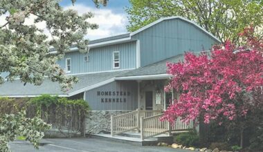 Longtime pet groomer and kennel in Northampton County celebrates grand reopening | Nazareth Area