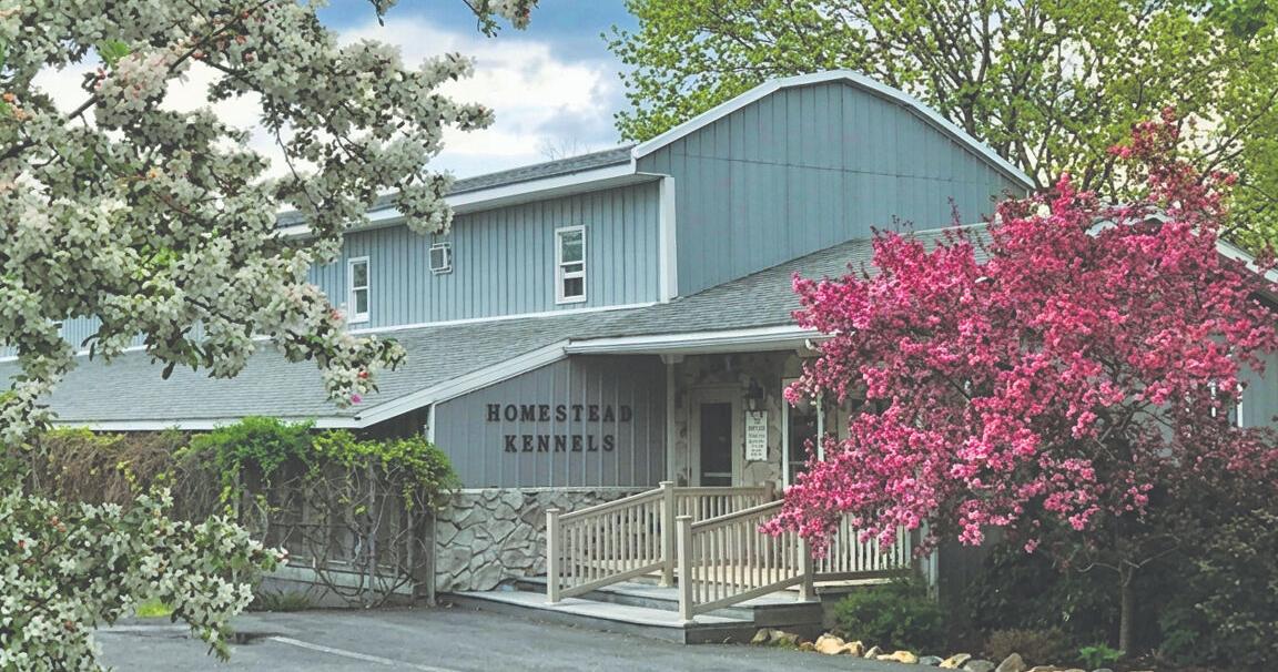 Longtime pet groomer and kennel in Northampton County celebrates grand reopening | Nazareth Area