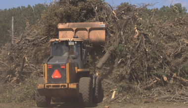 Erie City Council to Consider $4 million Allocation for Storm Damage Cleanup | Local News