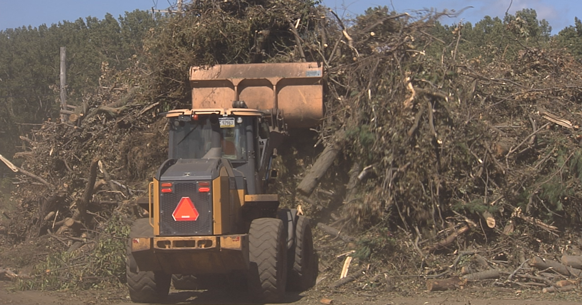 Erie City Council to Consider $4 million Allocation for Storm Damage Cleanup | Local News